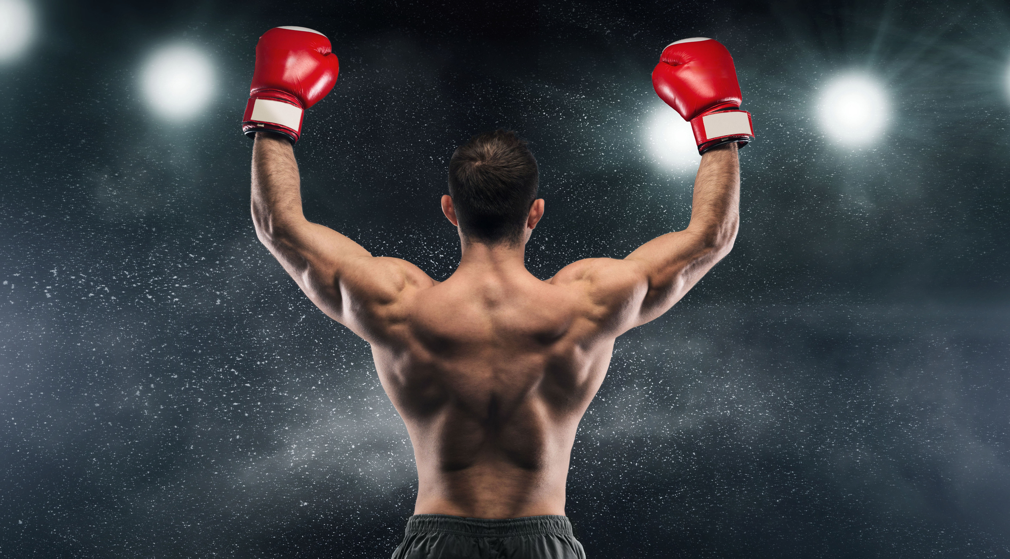 Boxer champion enjoying his victory on lights and standing back to the camera, black studio background
